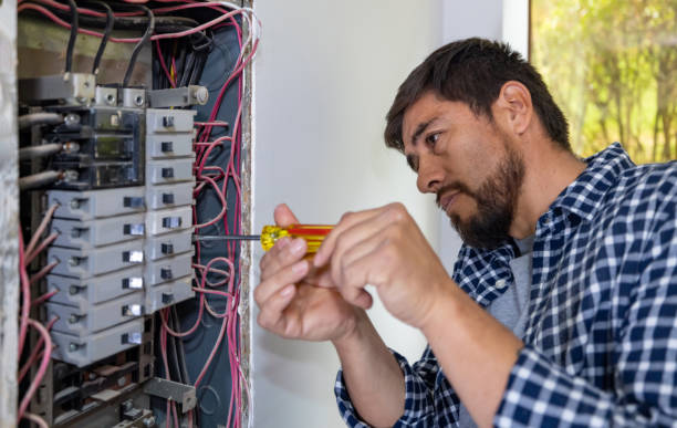 Best Electrical System Inspection  in Lynchburg, TN